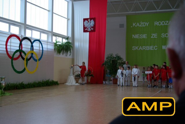 Hala Sportowa dla Gminy Goszczyn — zdjęcie 11