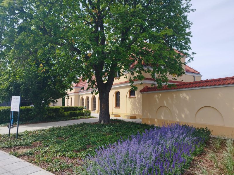 Dworzec Kolei Wilanowskiej — zdjęcie 22